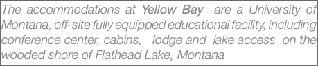 The accommodations at Yellow Bay are a University of Montana, off-site fully equipped educational facility, including conference center, cabins, lodge and lake access on the wooded shore of Flathead Lake, Montana