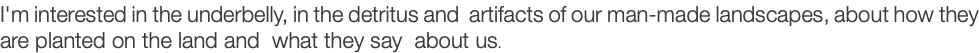 I'm interested in the underbelly, in the detritus and artifacts of our man-made landscapes, about how they are planted on the land and what they say about us. 